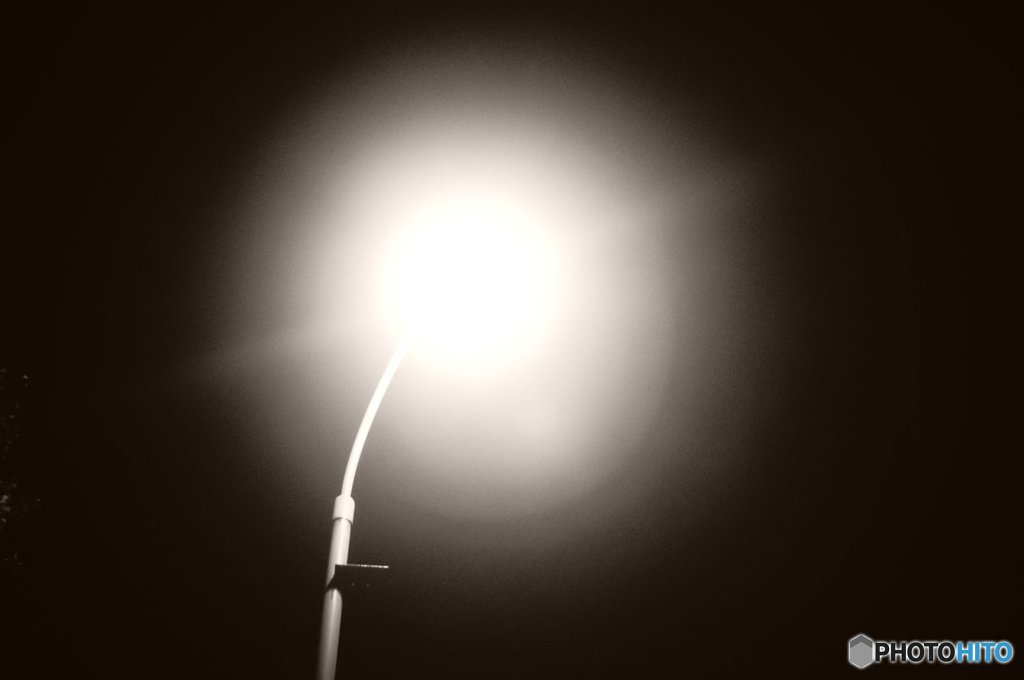 20171015_金木犀の香る頃#05