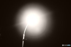 20171015_金木犀の香る頃#05