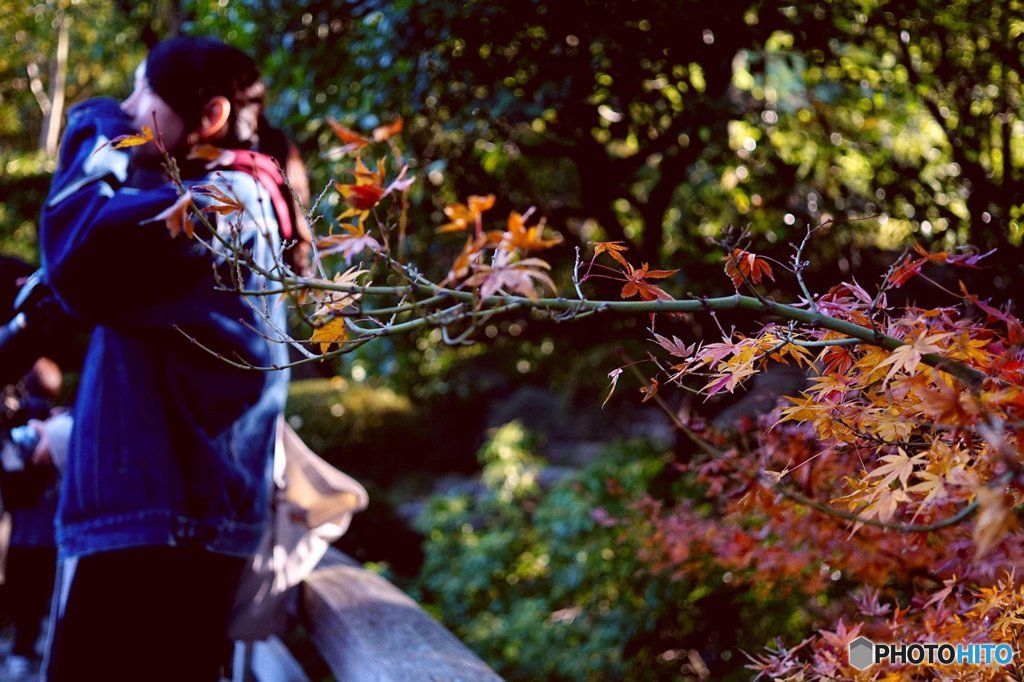 20171203_12月になった#09