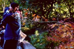 20171203_12月になった#09