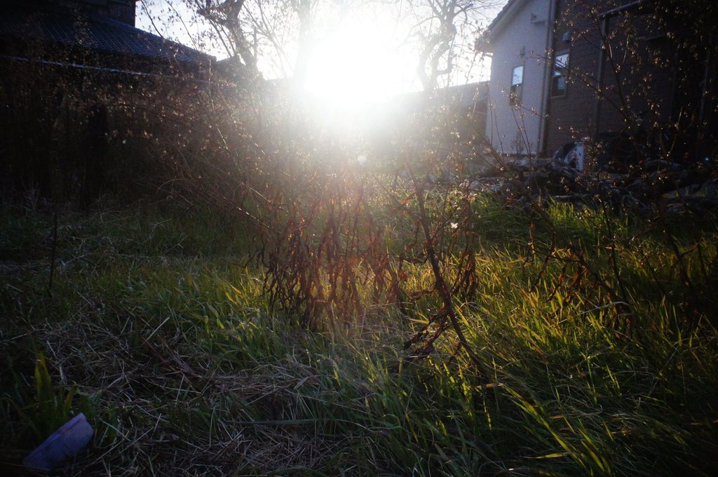 20180212_寒い日#09