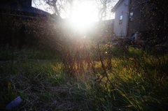 20180212_寒い日#09