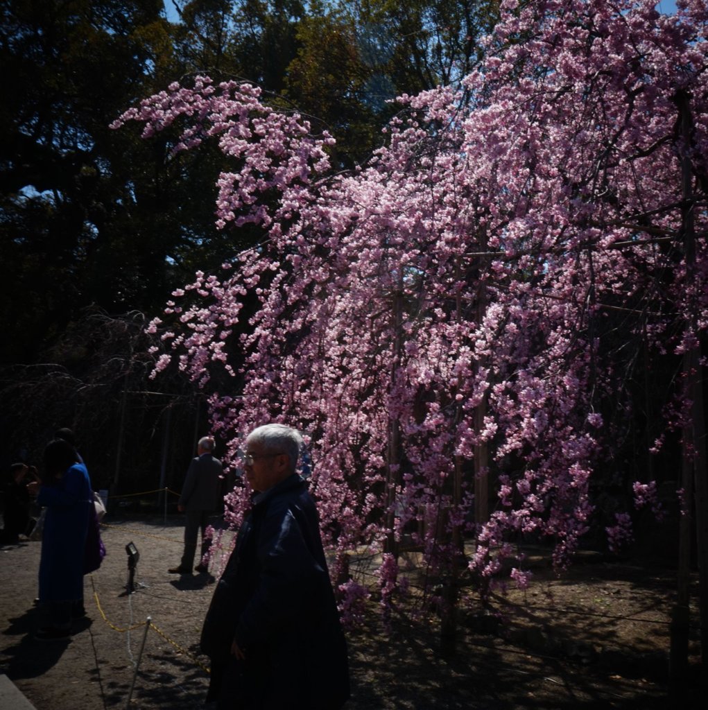 20170412_かつて#03