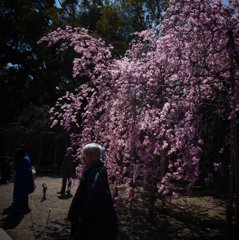 20170412_かつて#03