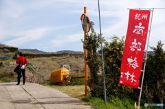 20180303_梅は咲いたか~#04