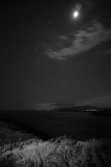 20170402_春の匂#10