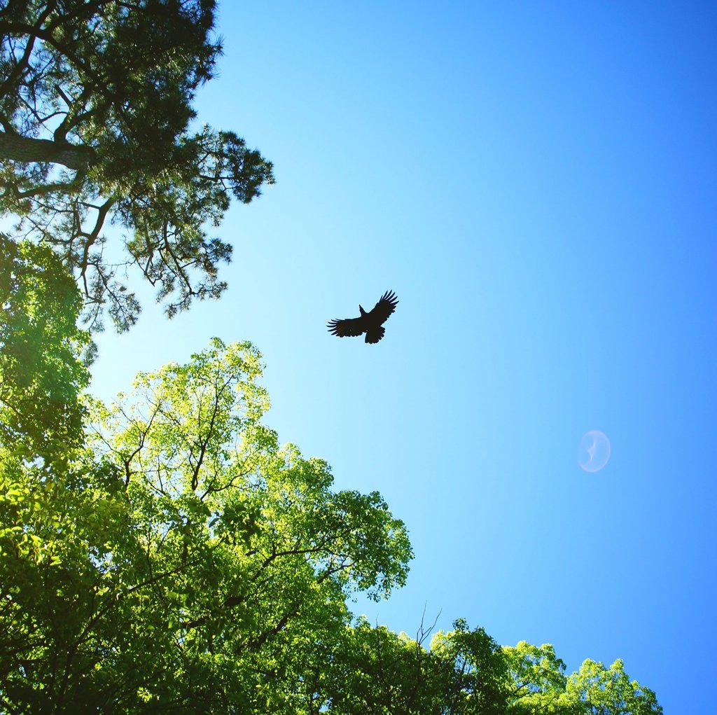 20170528_目標のない休日#08