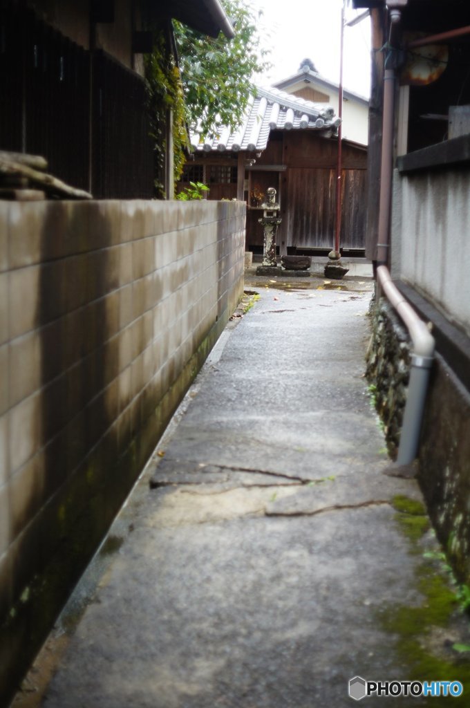 20160918_fzuikoが来た#03