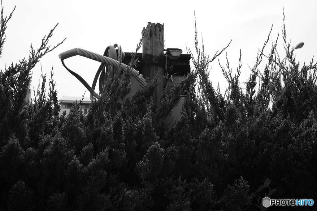 20170722_宛の無い休日#04