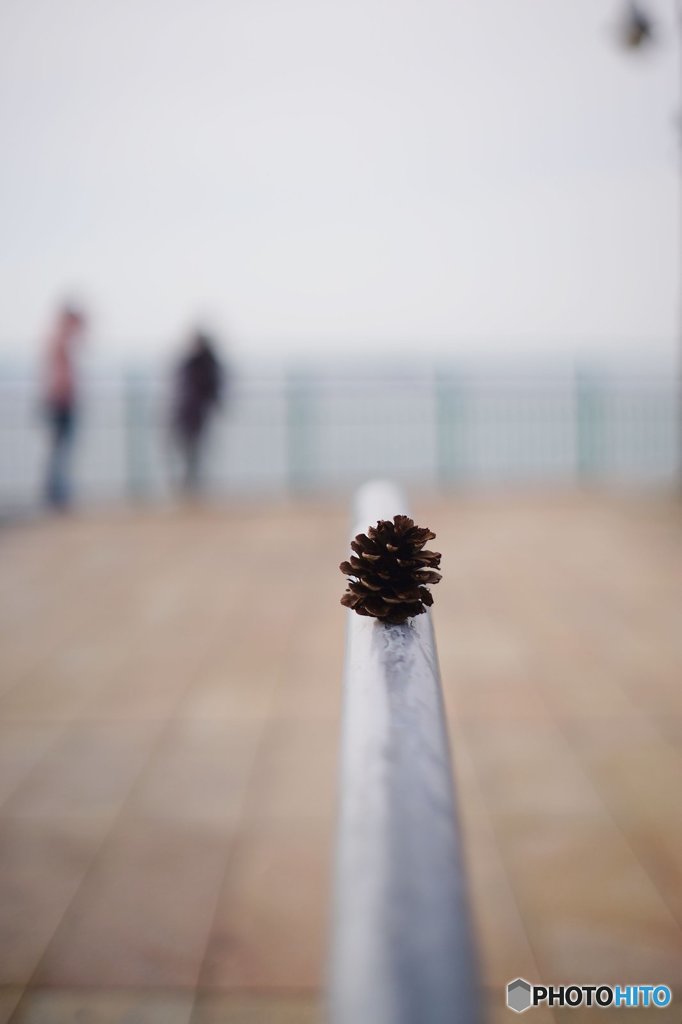 20170226_目標の無い休日#04