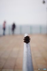 20170226_目標の無い休日#04