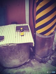 20170923_...も彼岸まで#06