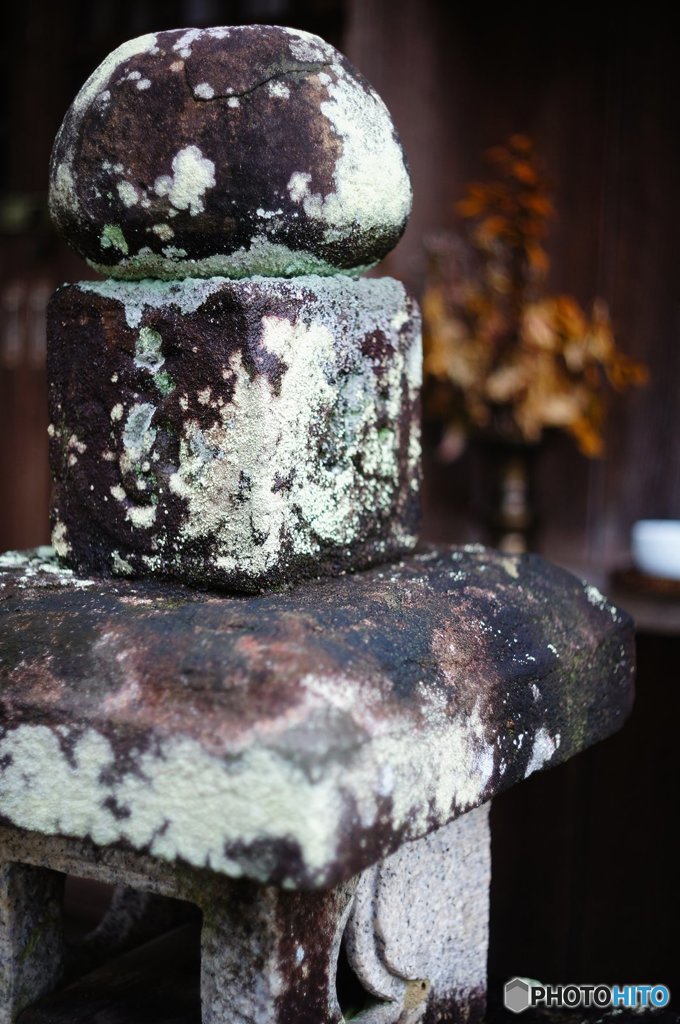 20160918_fzuikoが来た#04