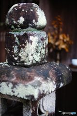 20160918_fzuikoが来た#04