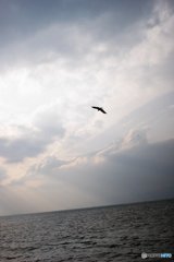 20171218_怠惰な休日#03