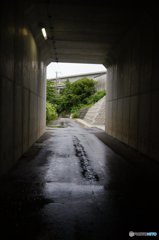 20180707_ひどい雨だった#07