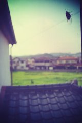 20170819_夏のある日#19