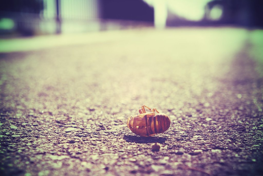 20170819_夏のある日#20