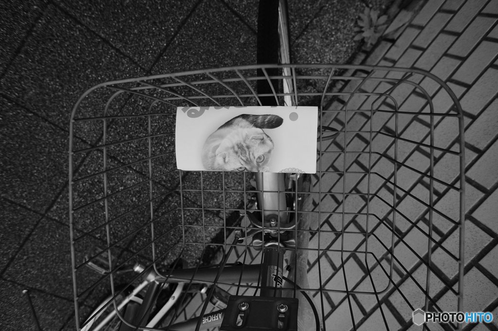 20161120_目的の無い休日#05