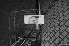 20161120_目的の無い休日#05