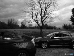 20190102_一言主神社#10