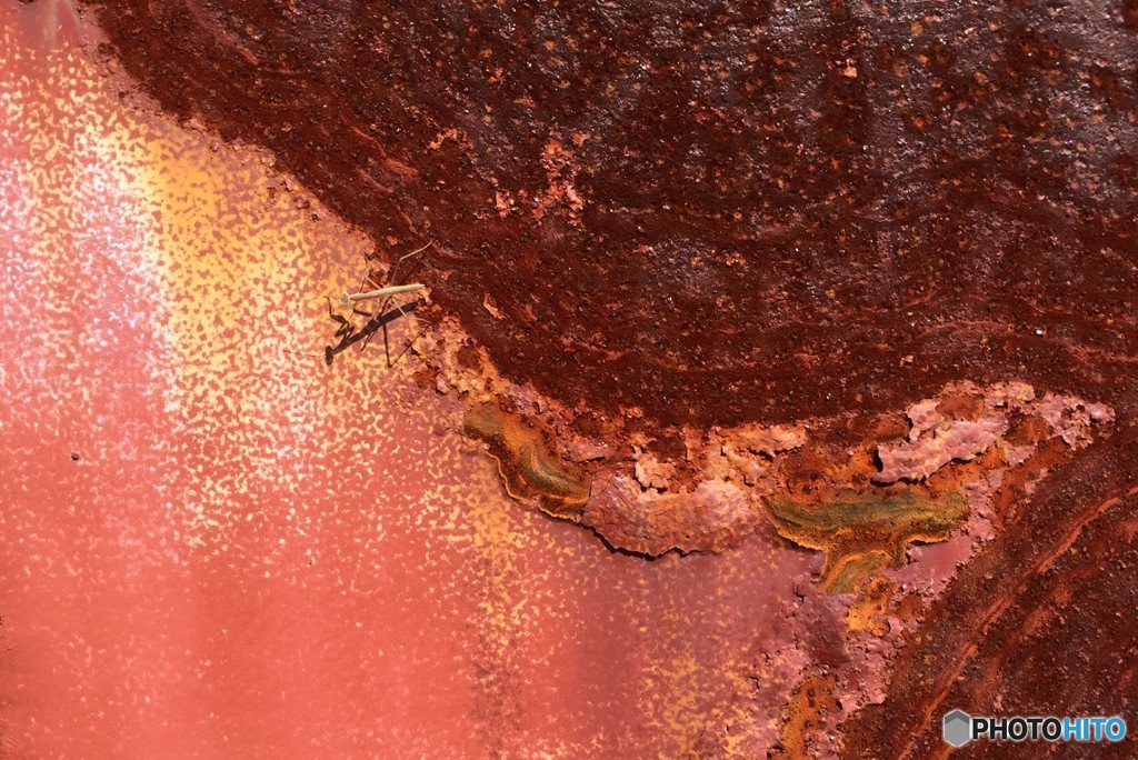 赤錆砂漠を越えて