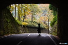 20171104_秋高野#02