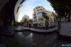 20160710_初夏になった#18