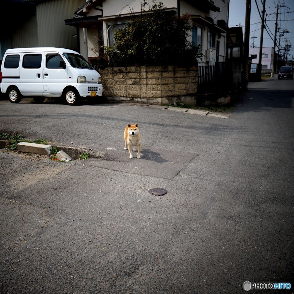 20170304_啓蟄の頃#07