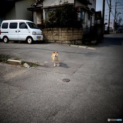 20170304_啓蟄の頃#07