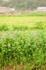 20150405_no_title_#03