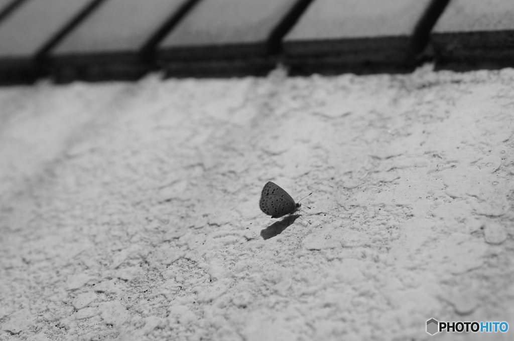 20161211_目標の無い休日#07