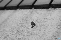 20161211_目標の無い休日#07