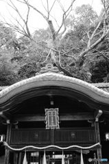 20190102_一言主神社#03