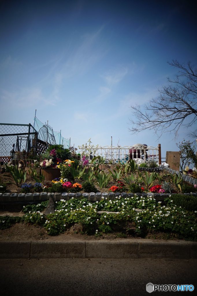 20170318_もう彼岸#08