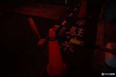 20171203_12月になった#05