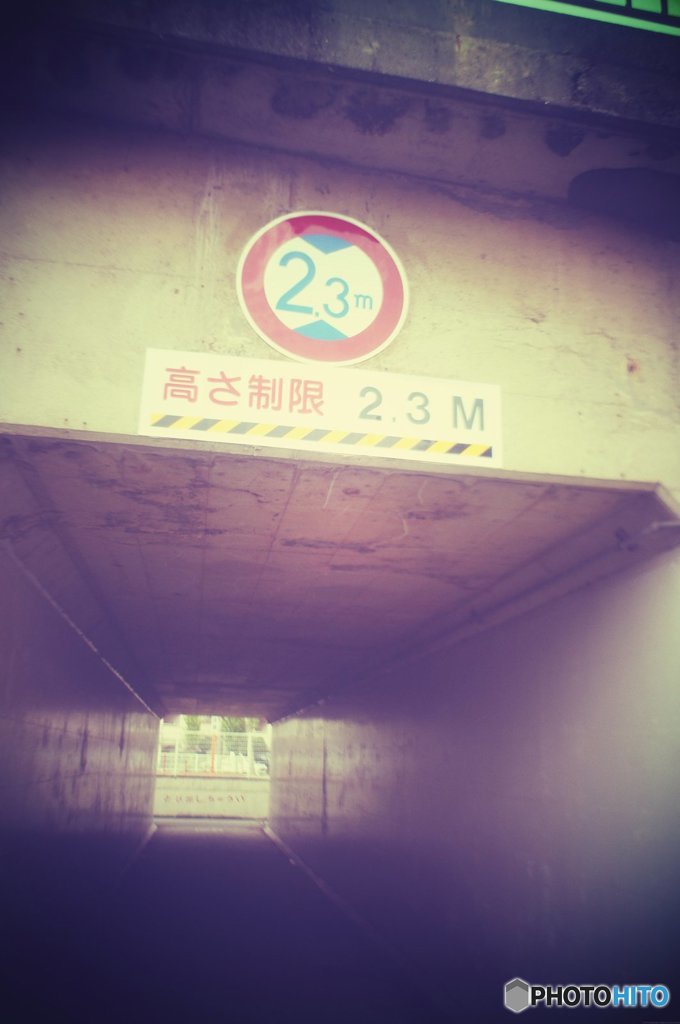 20170827_夏の残#04