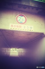 20170827_夏の残#04