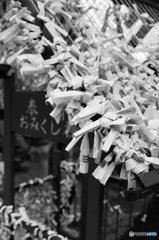 20190102_一言主神社#02