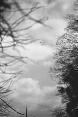 Holiday slow time 20150307 #04