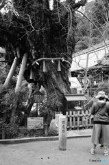 20190102_一言主神社#04