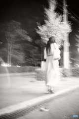 20171015_金木犀の香る頃#01