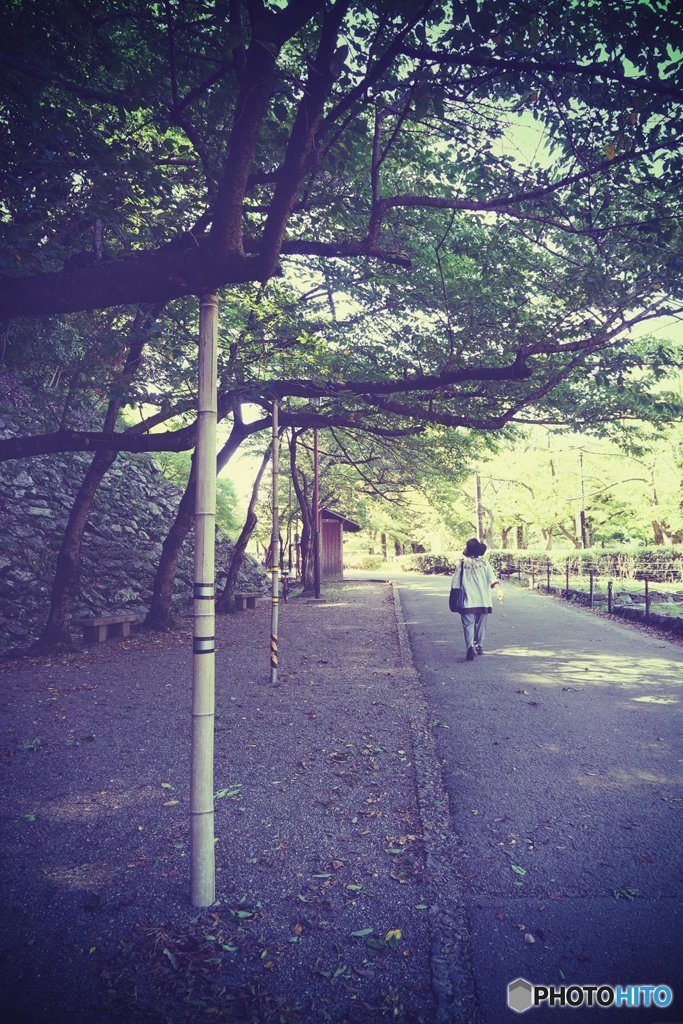 20170923_...も彼岸まで#03