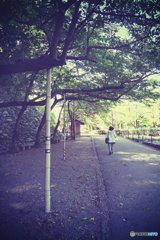 20170923_...も彼岸まで#03