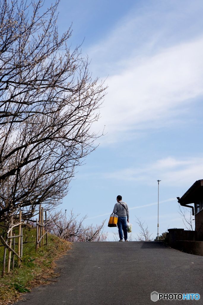 20180303_梅は咲いたか~#03