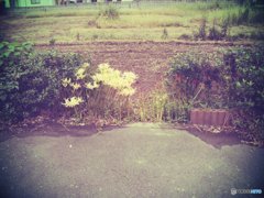 20170923_...も彼岸まで#04