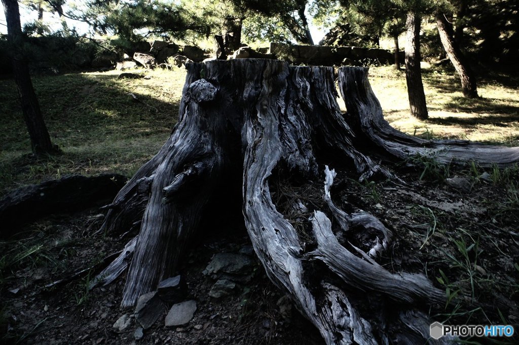 20180721_酷暑の日常#04