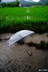 20170709_全国的に雨#03