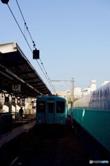 20171009_亜熱帯な秋#06