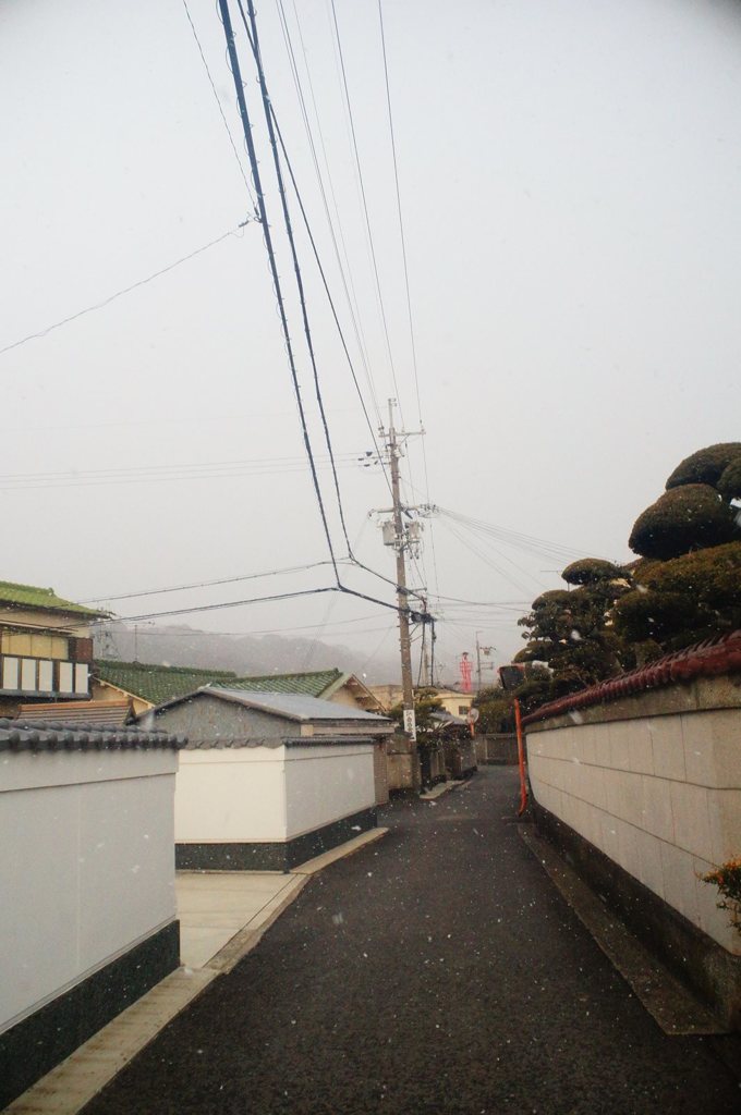 20180212_寒い日#08